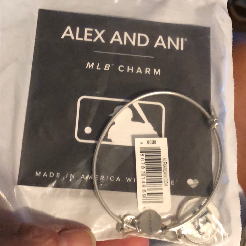 Alex and Ani Tampa Bay Rays silver tone-EUC